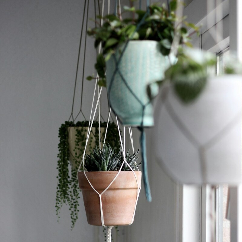 Hanging Plant Holder